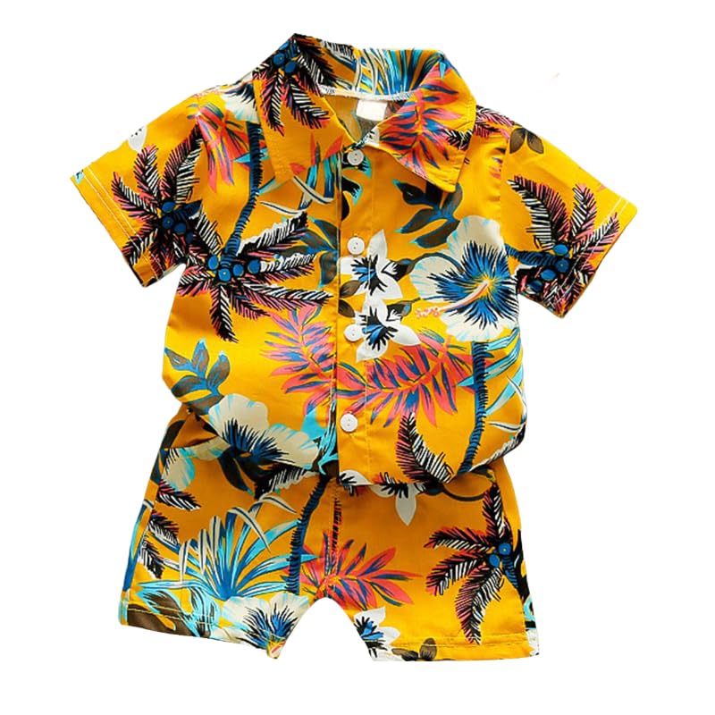 Toddler Baby Boys Shorts Outfits Cute Tropical Botanical Print Casual Hawaii Short Sleeve Shirt Set (C, 3-4 Years)