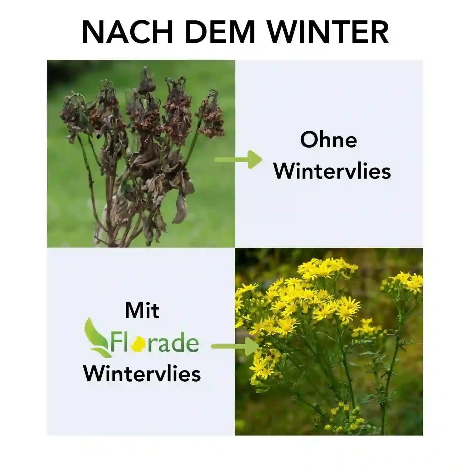 Florade Wintervlies | Thermovlies & Frostschutz für Pflanzen | 19 g/m² Leichter · 30 g/m² mittlerer · 50 g/m² starker Schutz | atmungsaktiv, UV-stabil | Breite 1,6 & 3,2 m, bis 100 m