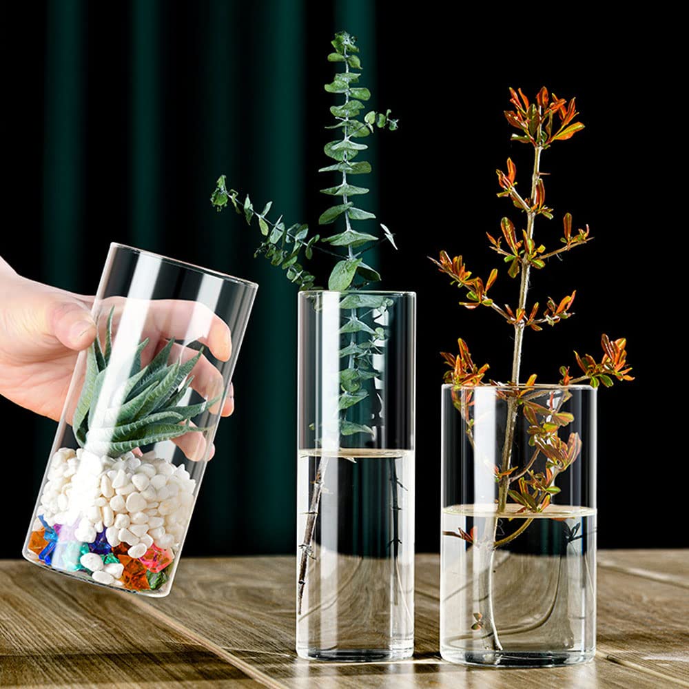 Vaas, borosilicaatglazen vaas, bloemenvaas, led-verlichting, op batterijen werkende vaas met timer, tafelessays met houten dienblad voor woninginrichting/binnenshuis, groene planten, vistank/bruiloft