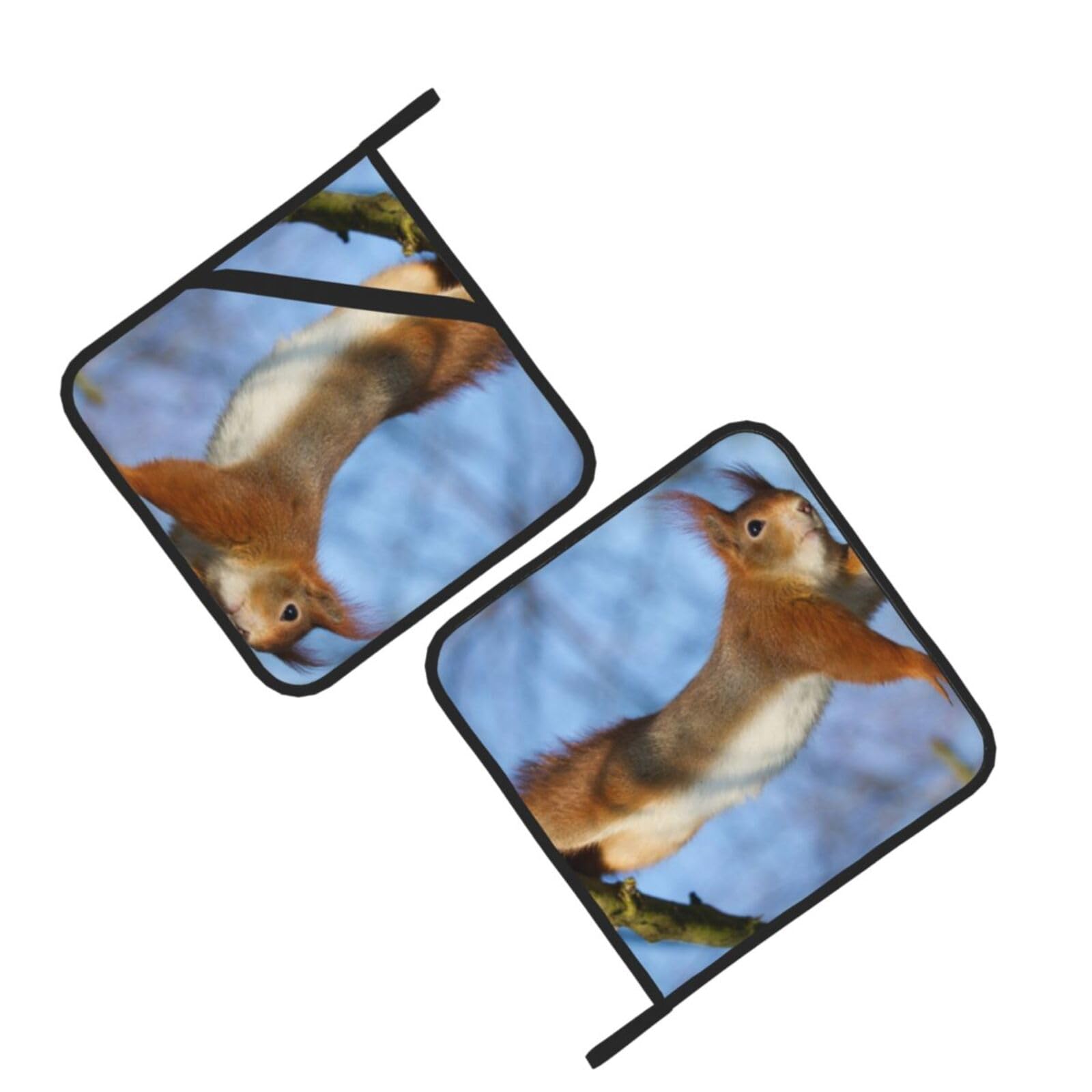Squirrel Funny Animal Printed Oven Pot Holders Set of 2 Pcs Heat Resistant Kitchen Microwave Potholders for Cooking Baking Grilling
