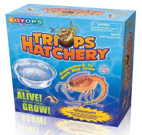 Toyops Triops Hatchery