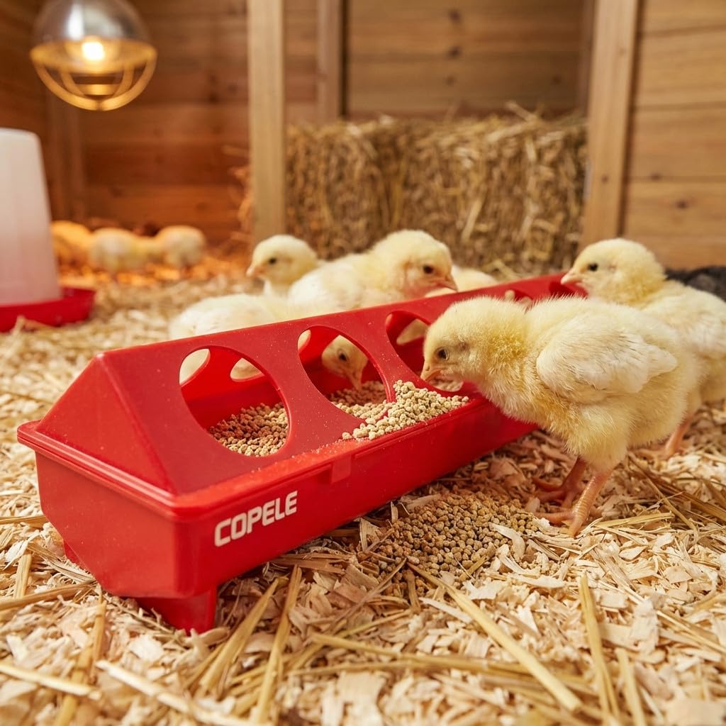 Suinga Pack 4 Mangimi in Plastica per Galline | Con Fori 100x12x13 cm | Mangime per Pulcini di 1ª Età | Canale Anti-Spreco | Ideale per 24 Galline