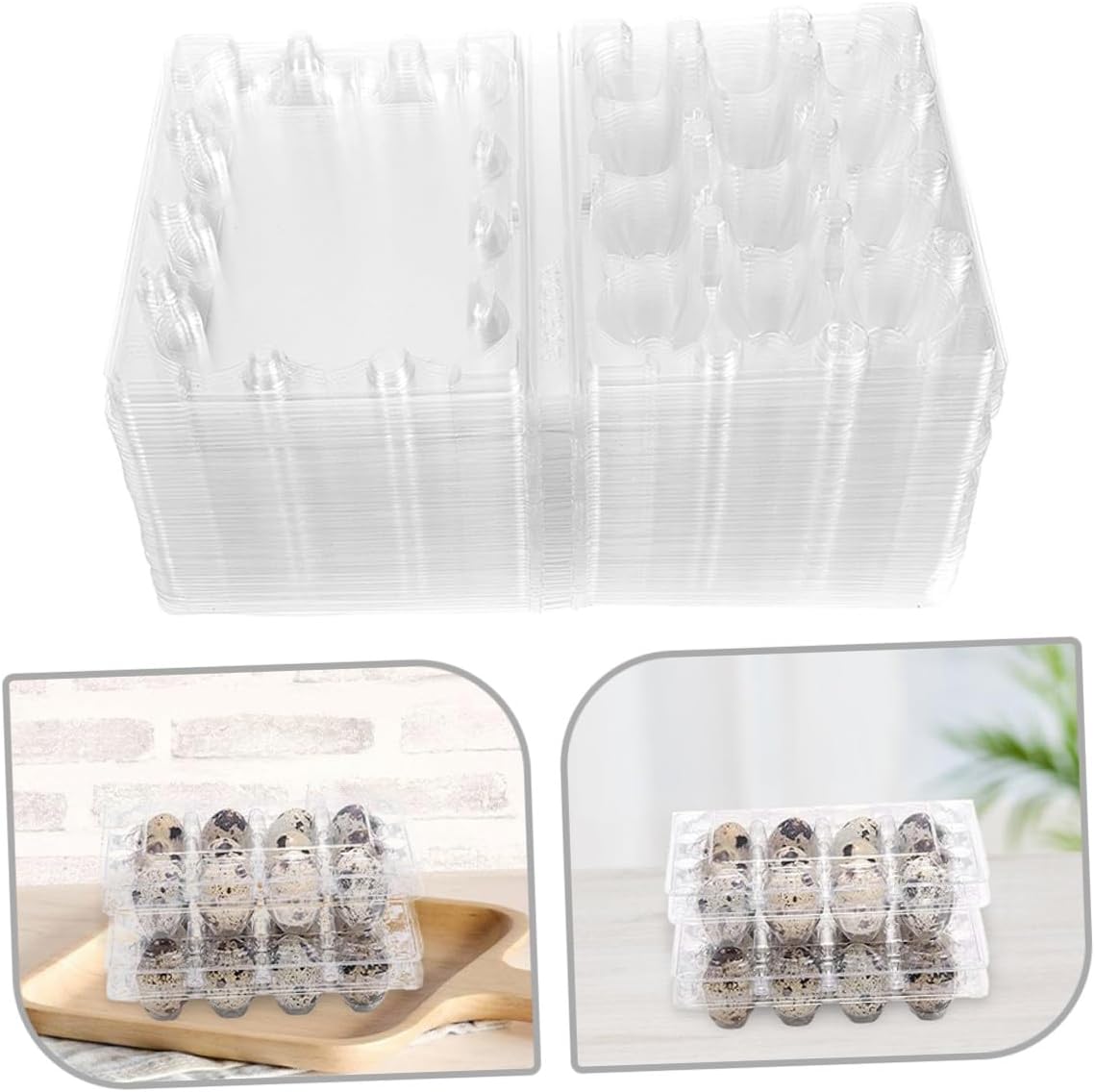 DOITOOL 70pcs Plastic Quail Egg Cartons Bulk Storage Tray with Lid for 12-cell Quail Egg Holder Stackable Plastic Containers for Farm Market and Home Refrigerator Use