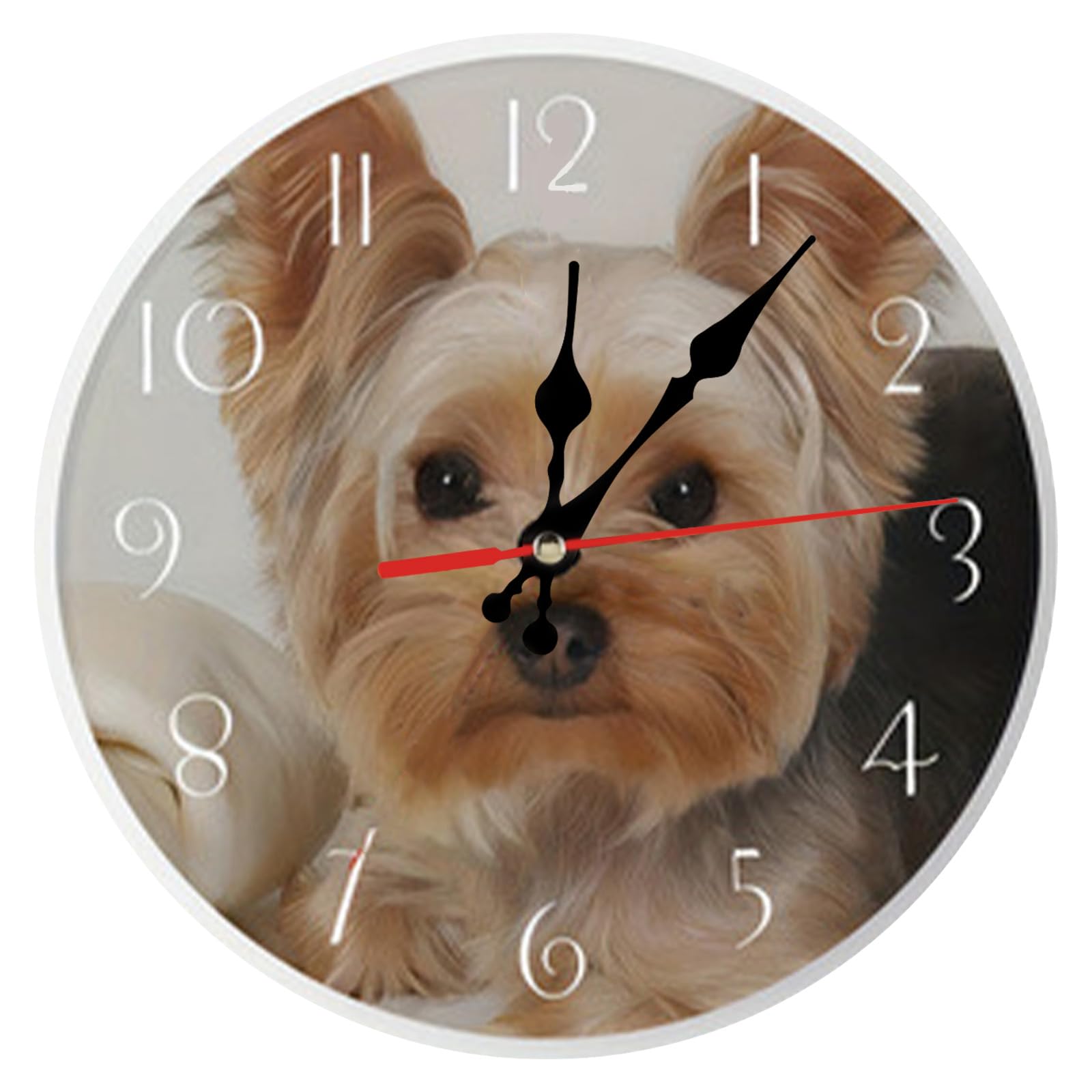 Horloge murale de jardin moderne ronde silencieuse à piles 25cm