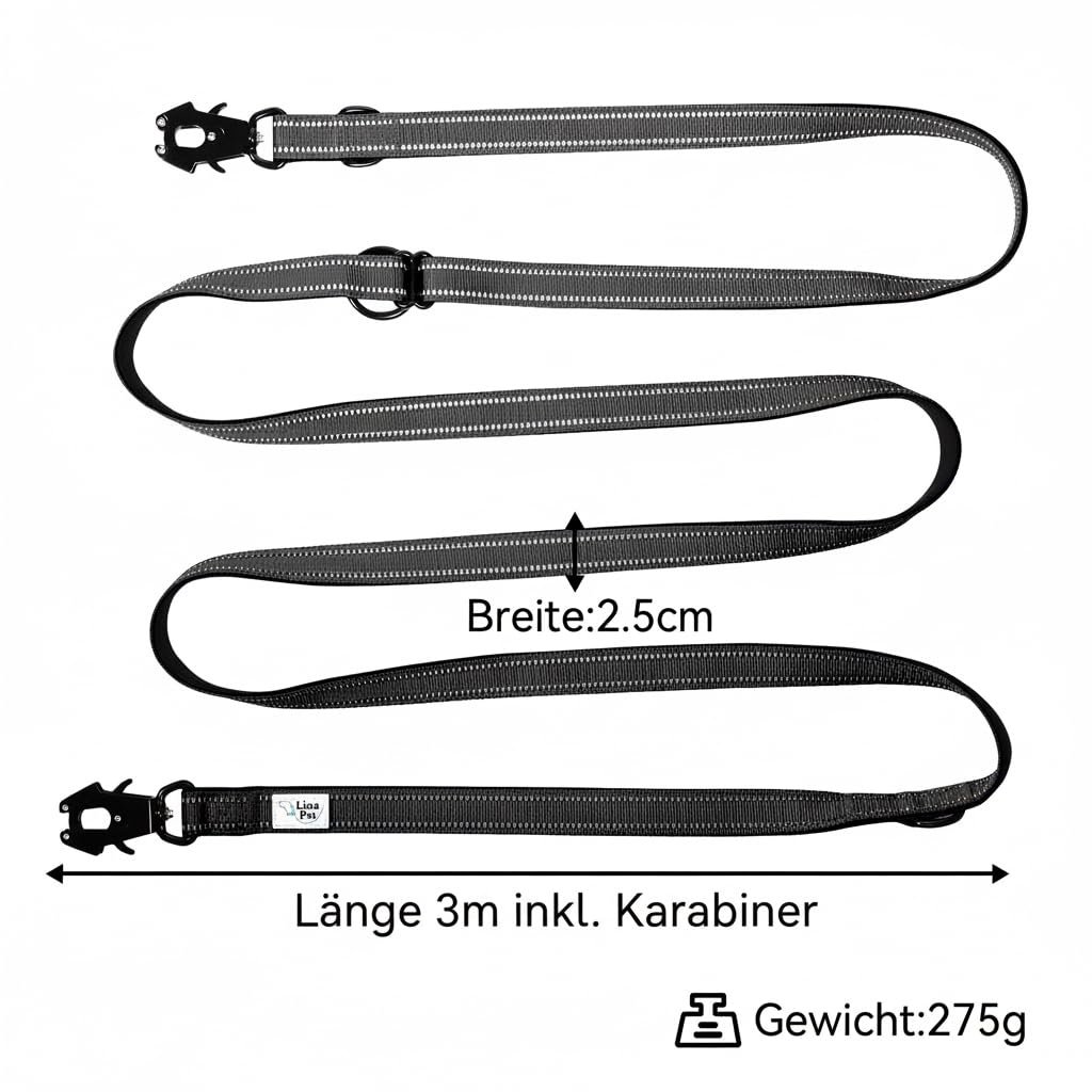 Lina Pet Hundeleine 3m x 2,5 cm, Verstellbare Doppelleine aus Nylon mit Aluminium-Karabiner, Führleine Reflektierend für große und mittelgroße Hunde