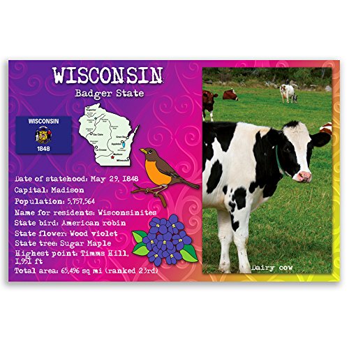WISCONSIN STATE FACTS postcard set of 20 identical postcards. Post cards with WI facts and state symbols. Made in USA.