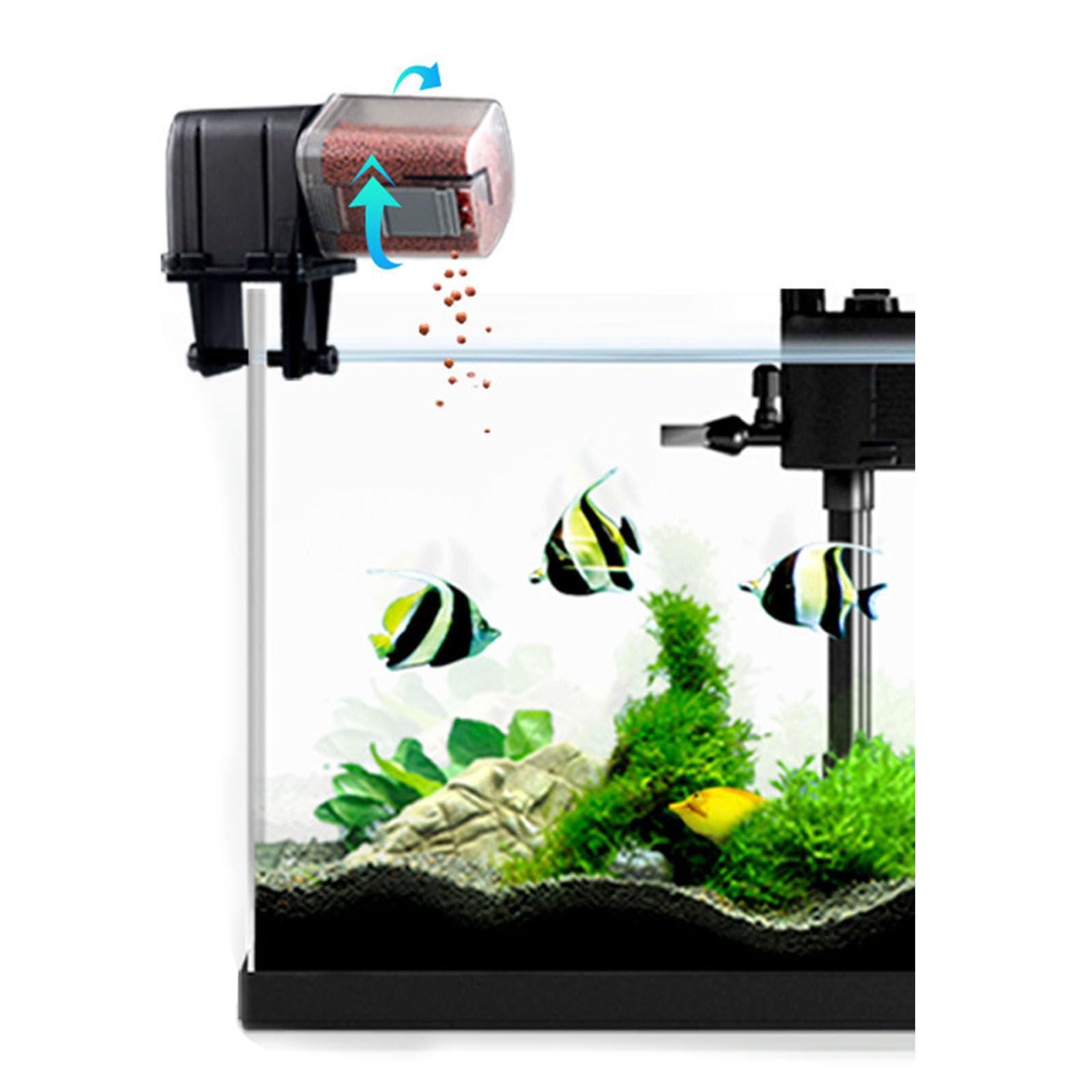 Mangeoire automatique WiFi avec alimentation USB et commande vocale pour les propriétaires de poissons professionnels débutants
