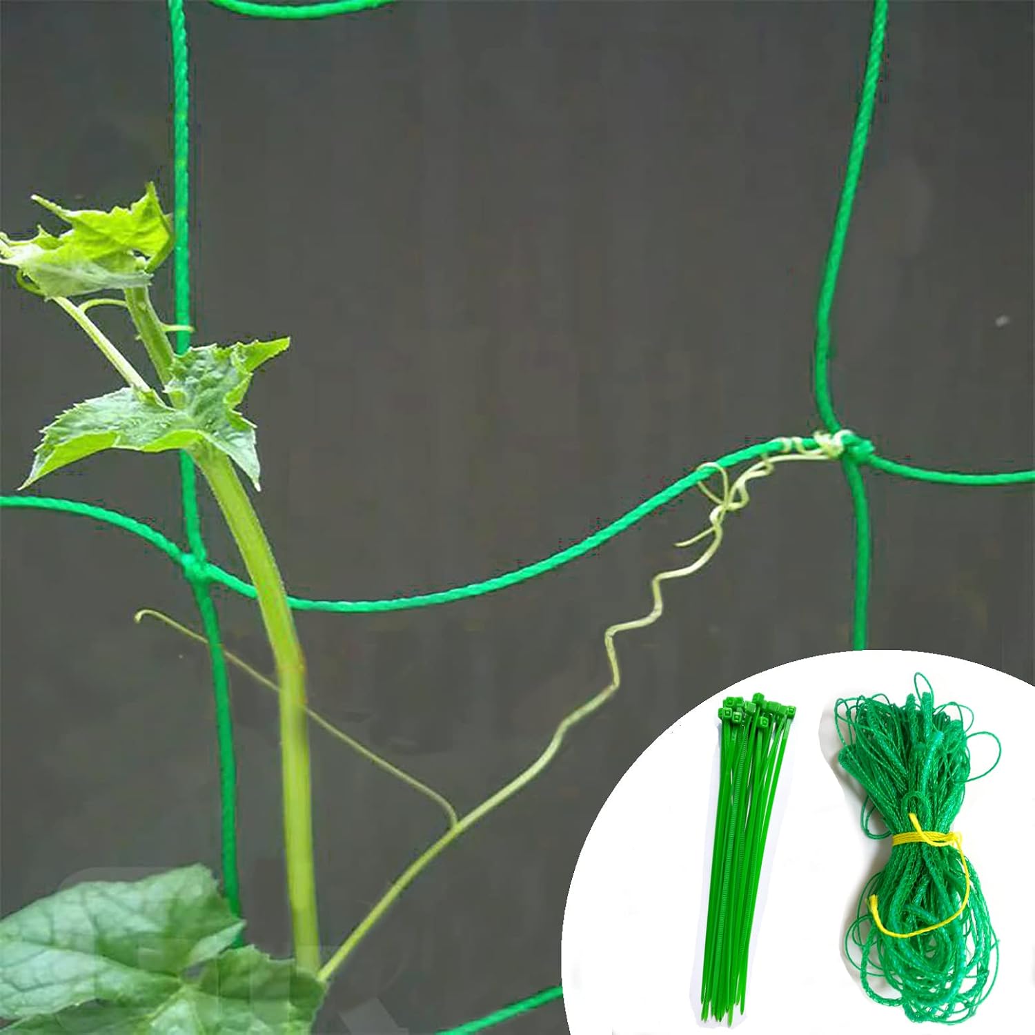 Plants Trellis Netting Trellis Netting for Climbing Heavy Duty Garden