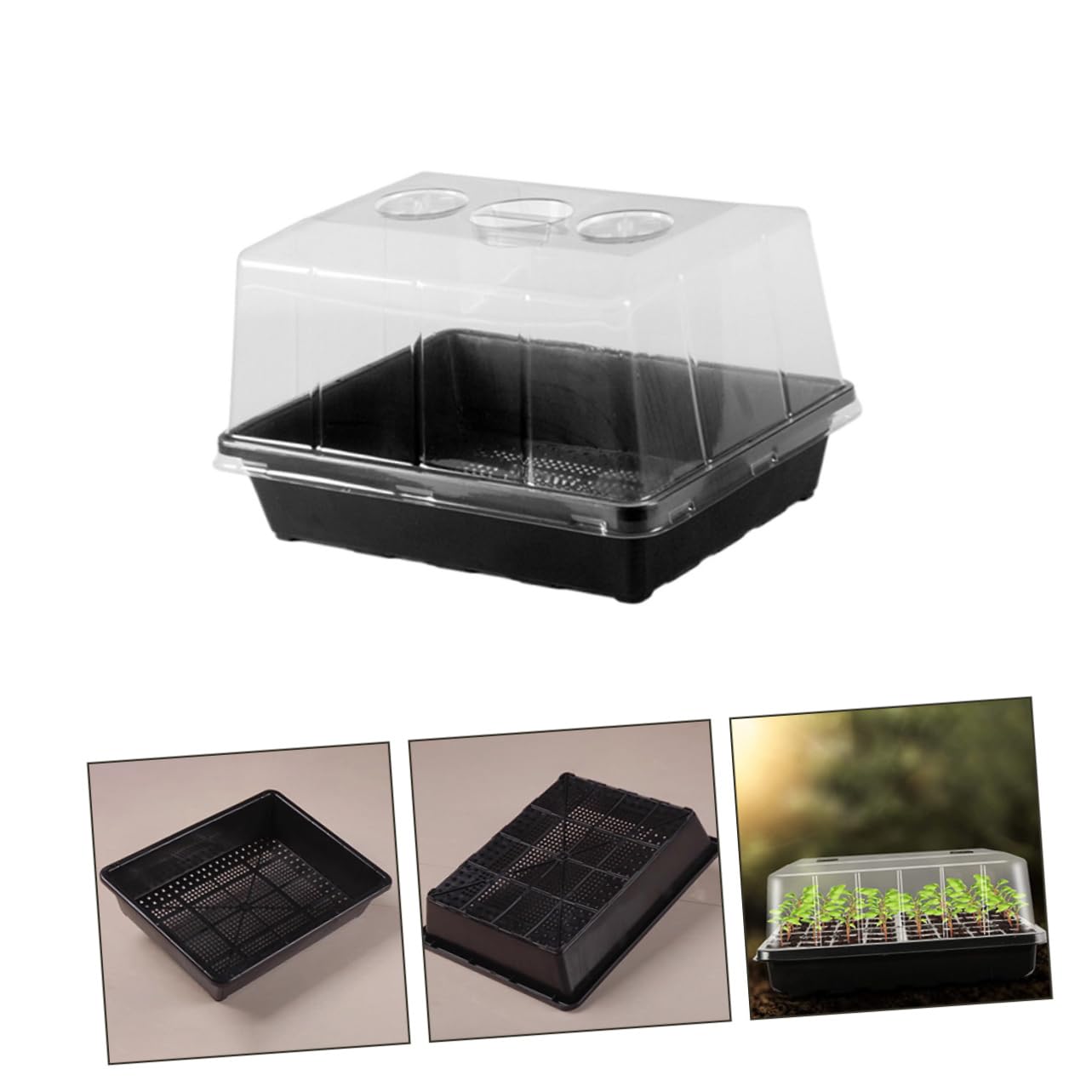 Plateau de Germination Modèle 5 1 Set en Plastique pour Semis et Plantes