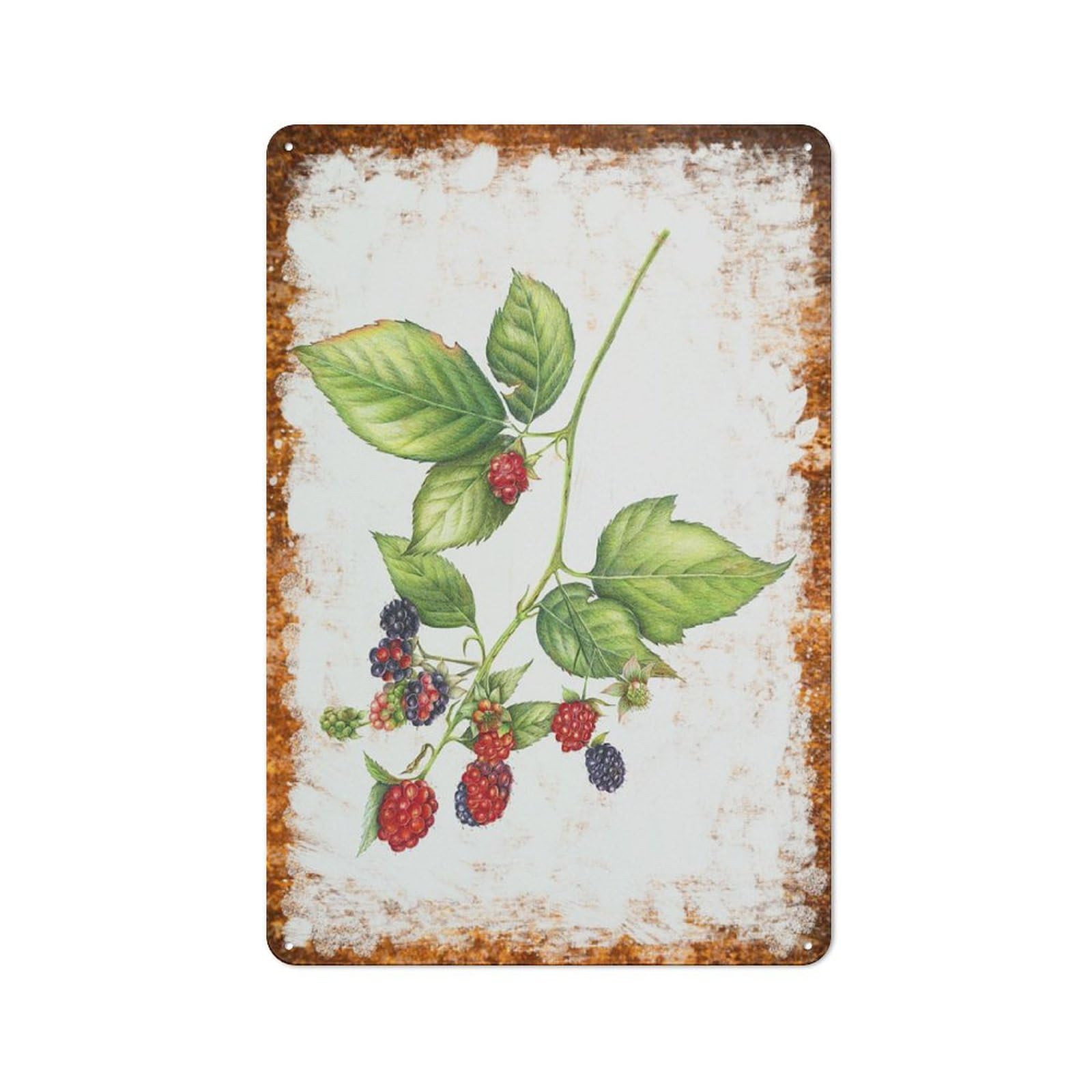 peiyeety Metal Tin Sign Retro Distressed Vintage Rustic Metal Mixed Berry Branch Watercolor Print Wall Art Decor for Home Kitchen Bedroom Bathroom Farmhouse Living Room Office Apartment 6x8 INCH