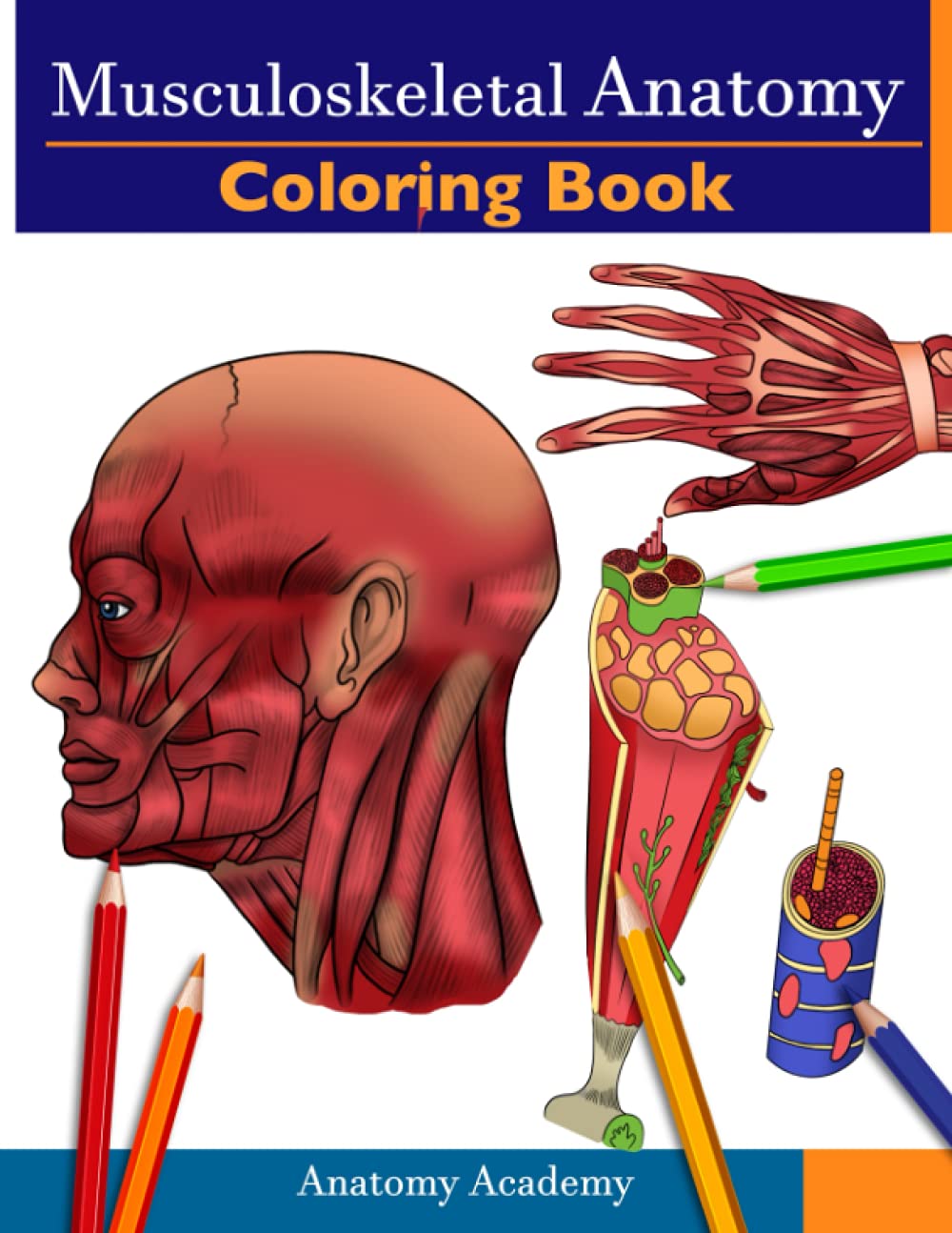 Musculoskeletal Anatomy Coloring Book: Incredibly Detailed Self-Test Muscle Anatomy Color workbook | Perfect Gift for Medical School Students, Physicians & Chiropractors