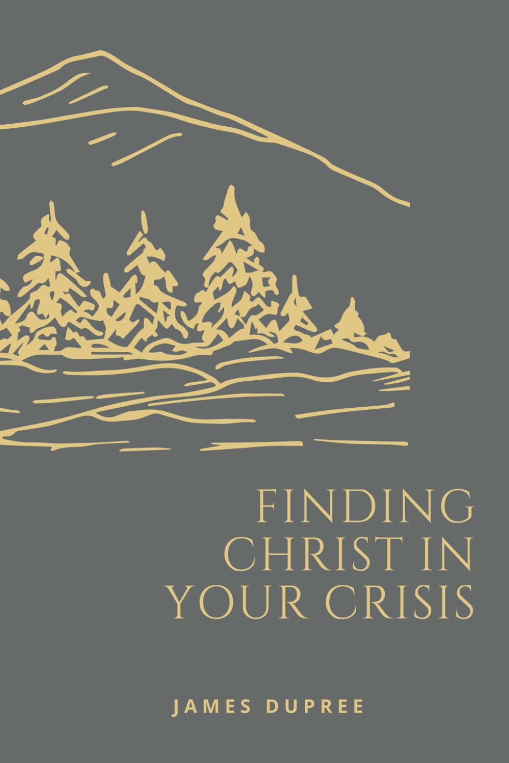 Finding Christ in Your Crisis