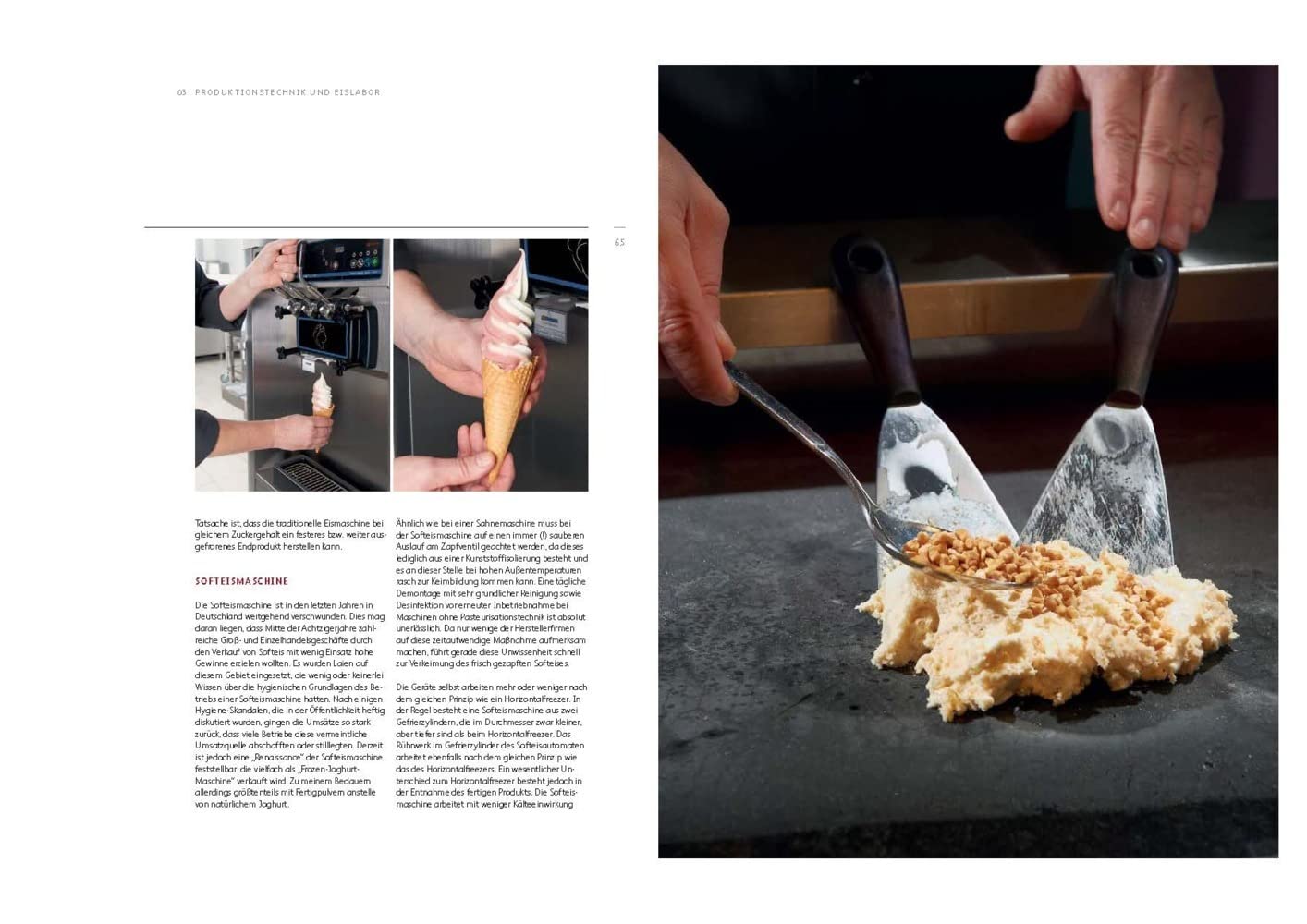 Eismanufaktur: Basics, Rezepturen, Marketing
