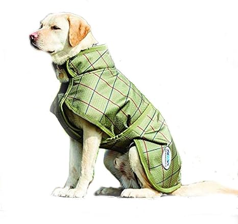 Olive green dog coat Clearance