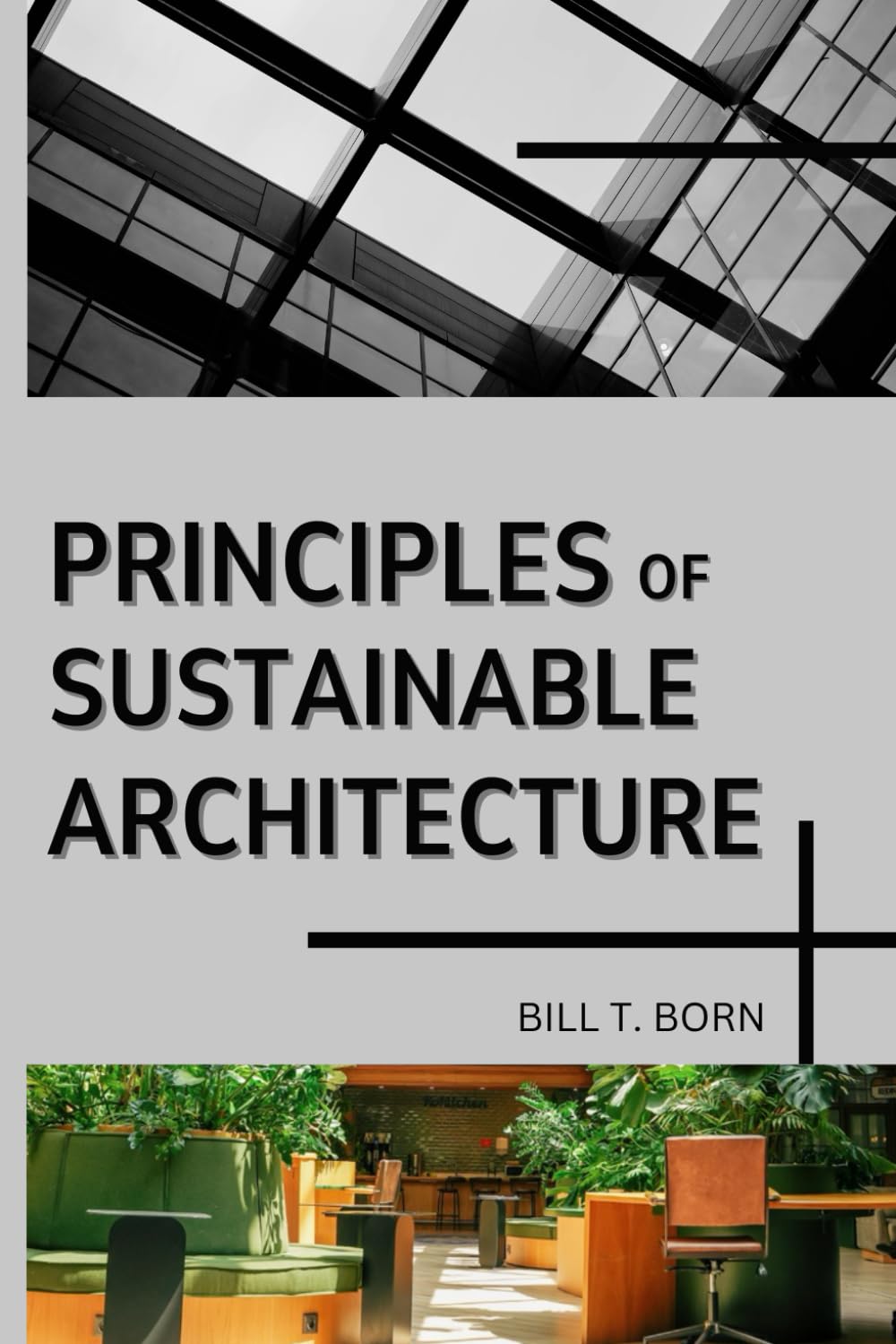 PRINCIPLES OF SUSTAINABLE ARCHITECTURE: Strategies for Architects and Real Estate Agents to build value