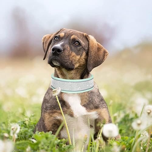 Miniatura 3 de Collar de perro de diamante con Airtag deslumbrante ante ante suave ante collar reflectante grande con diamantes de imitación para mascotas medianas