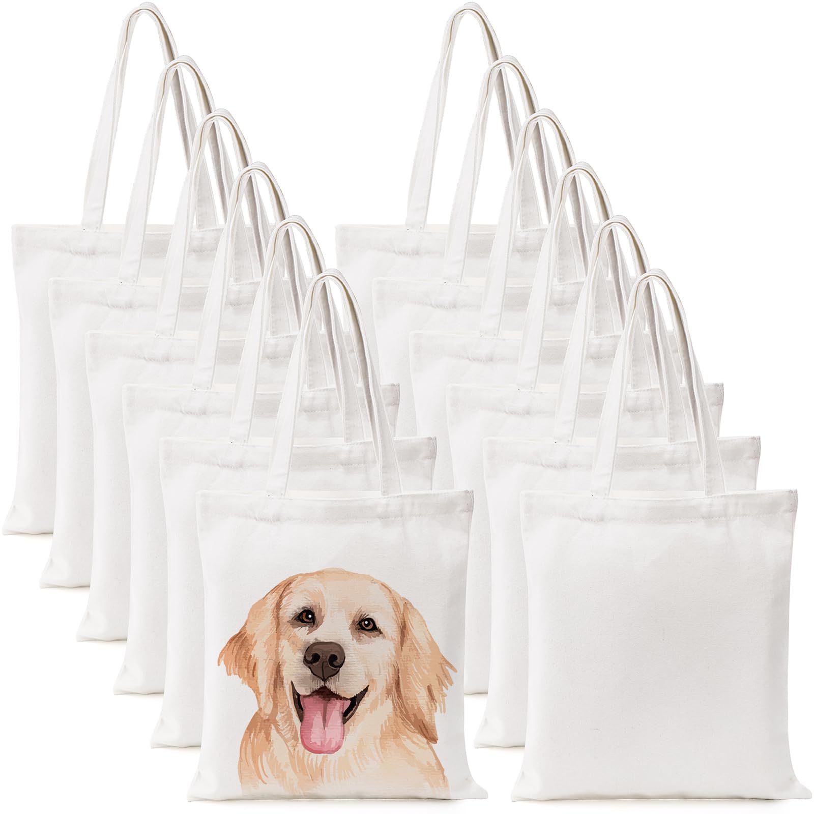 DEAYOU 12 Pack Canvas Tote Bag, 13