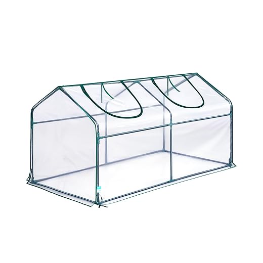 Quictent Mini Greenhouse, Portable Quick-Setup Small Tabletop Waterproof UV Protected PVC Cover Shelter for Outdoors/Indoors W/ Raised Base for Garden Plant Seed Starting, 71"x36"x36" Clear