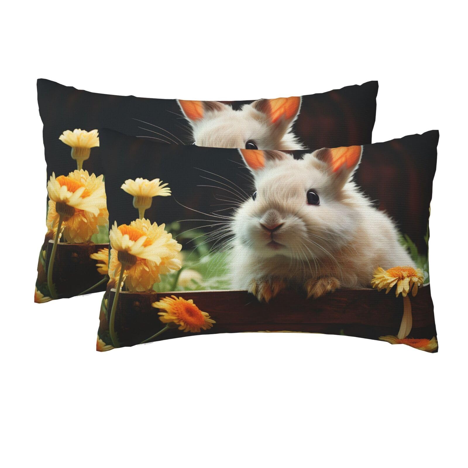 2 Pack Queen Pillow Cases with Hidden Zipper, Soft Breathable Pillow Covers for Hair and Skin, Rabbit and Flower Pillowcases 20"x30" Bed Pillow Protectors Cover for Sleeping Gifts