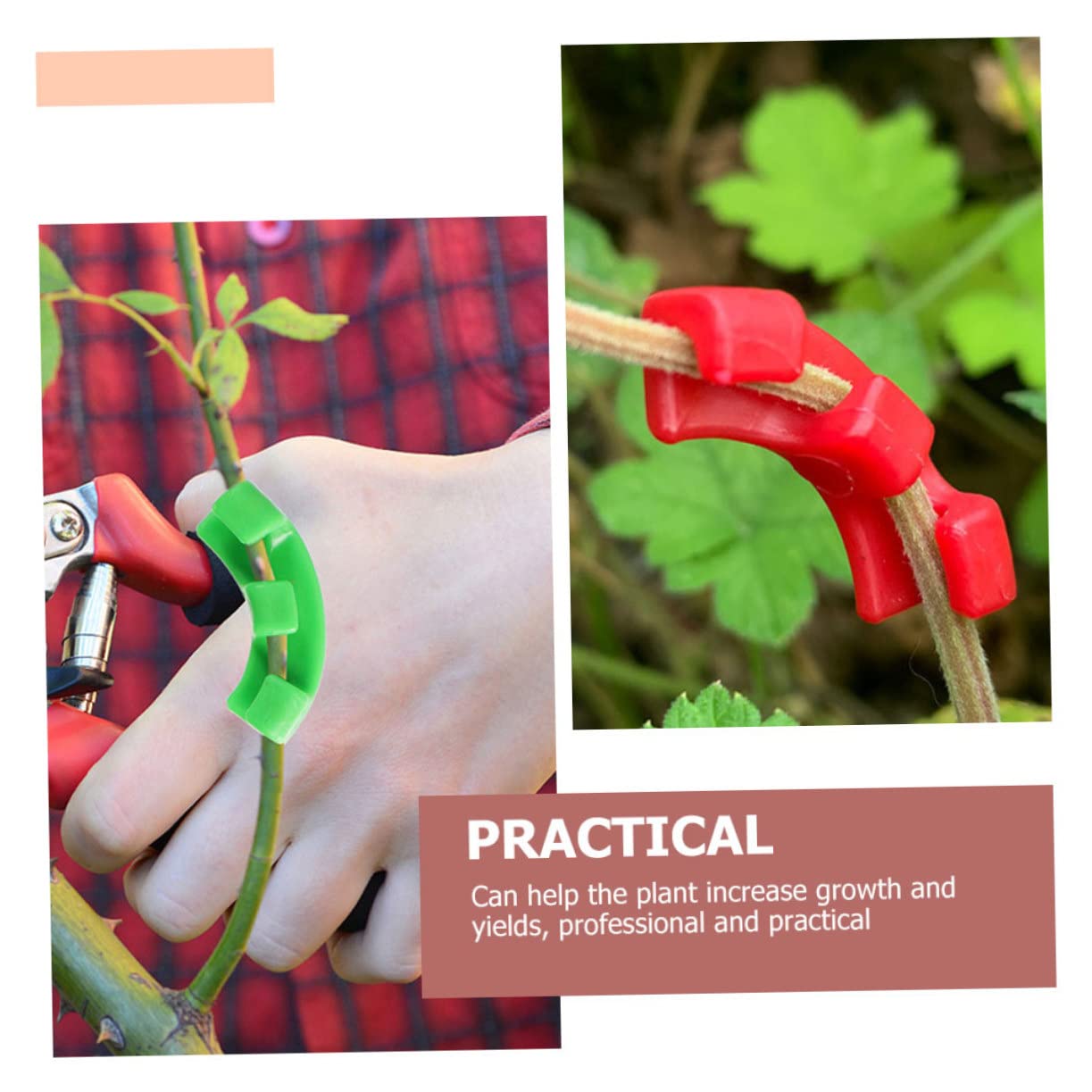 ifundom 5 Set Piegatrice di Piante Regolabile Clip di Supporto della Vite di Verdure Clip di Piante Flessione Piantare Morsetti Trainer Fermagli per Stelo da Giardino Plastica 60 Pezzi*5