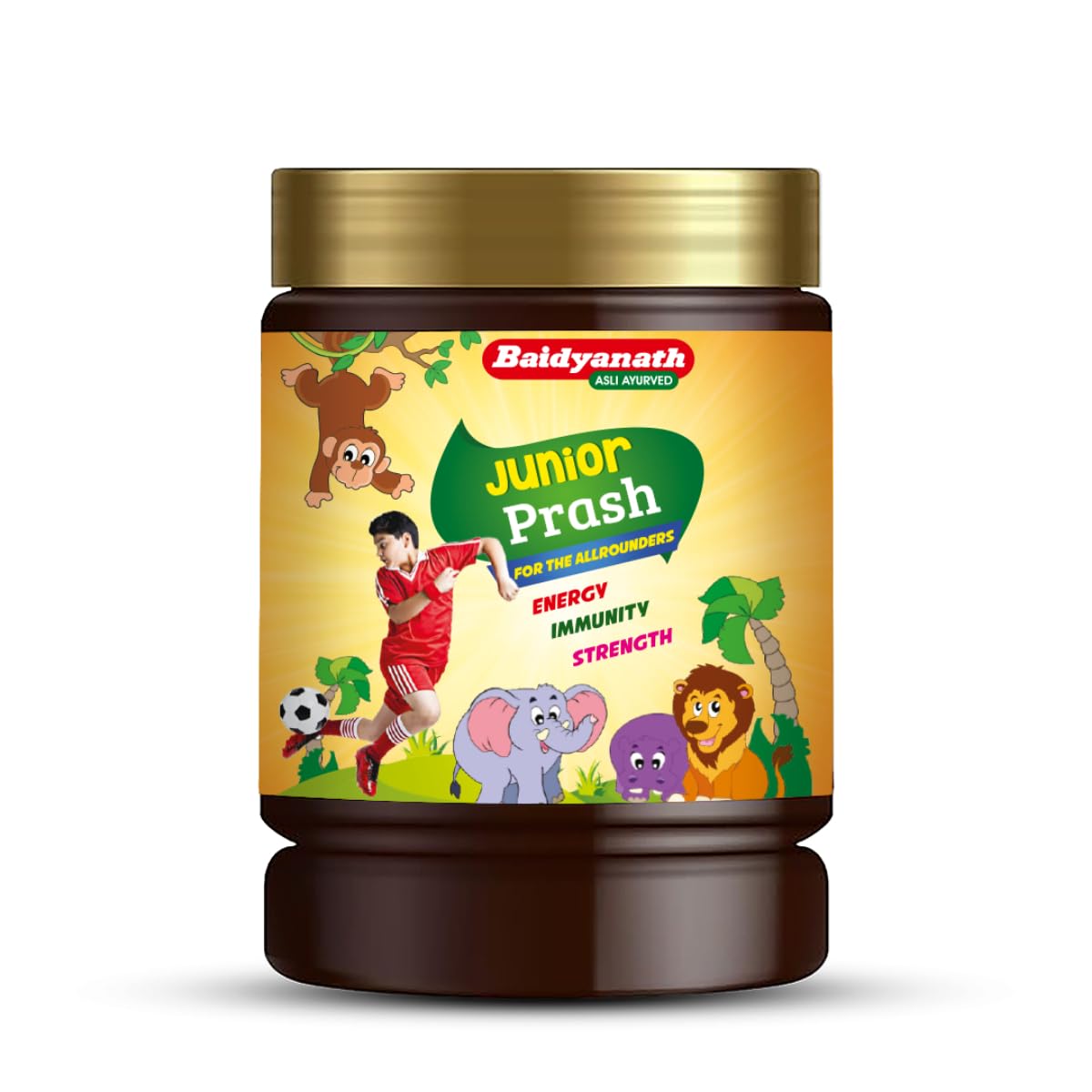 Baidyanath Junior Prash - Specially Formulated Chyawanprash for Kids - 500g