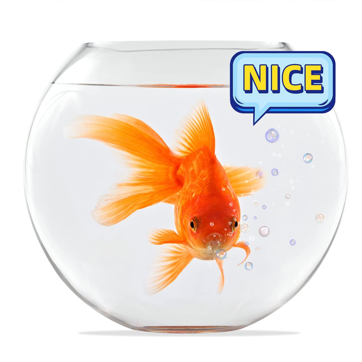 Refroidisseur d'aquarium – Puissant système de refroidissement pour aquarium à 2 vitesses pour eau douce salée – Refroidisseur noir pour un contrôle efficace de la température