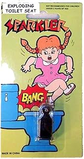 4 Pieces of Exploding Toilet Seat Pranks - Scare Your Friends with this Gag