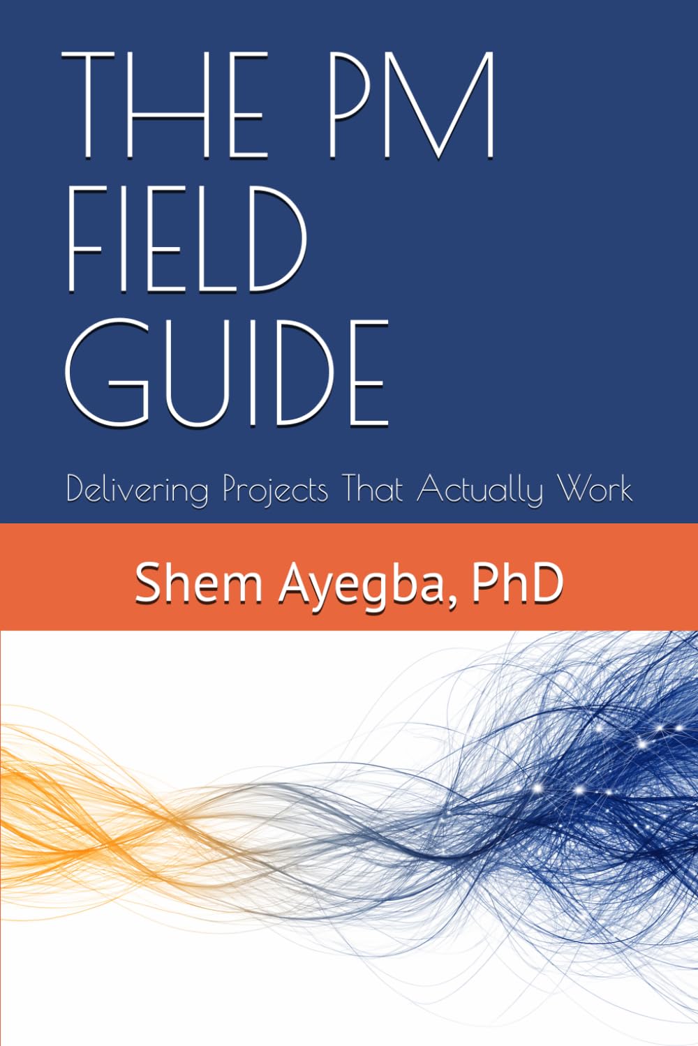 THE PM FIELD GUIDE: Delivering Projects That Actually Work