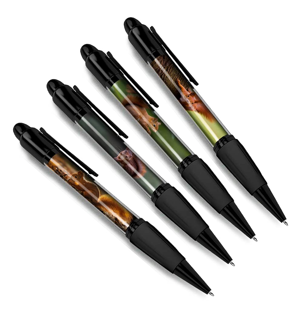 DV DESIGN Set of 4 Red Squirrel Black Ballpoint Pens