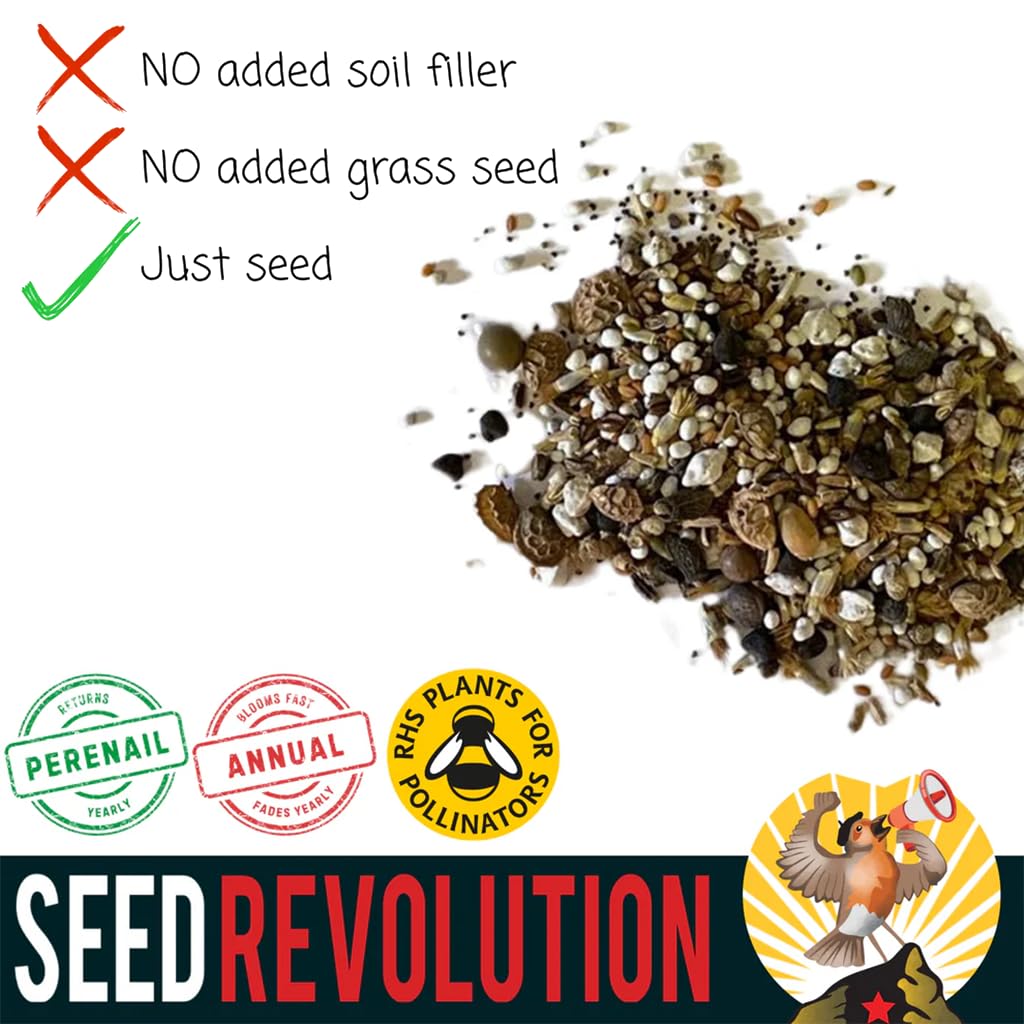 15 Varieties Native Wild Flower Seeds - Bloom or Bust Meadow Mix- Shade Friendly Wildflower Seeds for Planting UK - Native Gardening Gifts - Grow a Garden - Pack of 3 (12g) — view 5