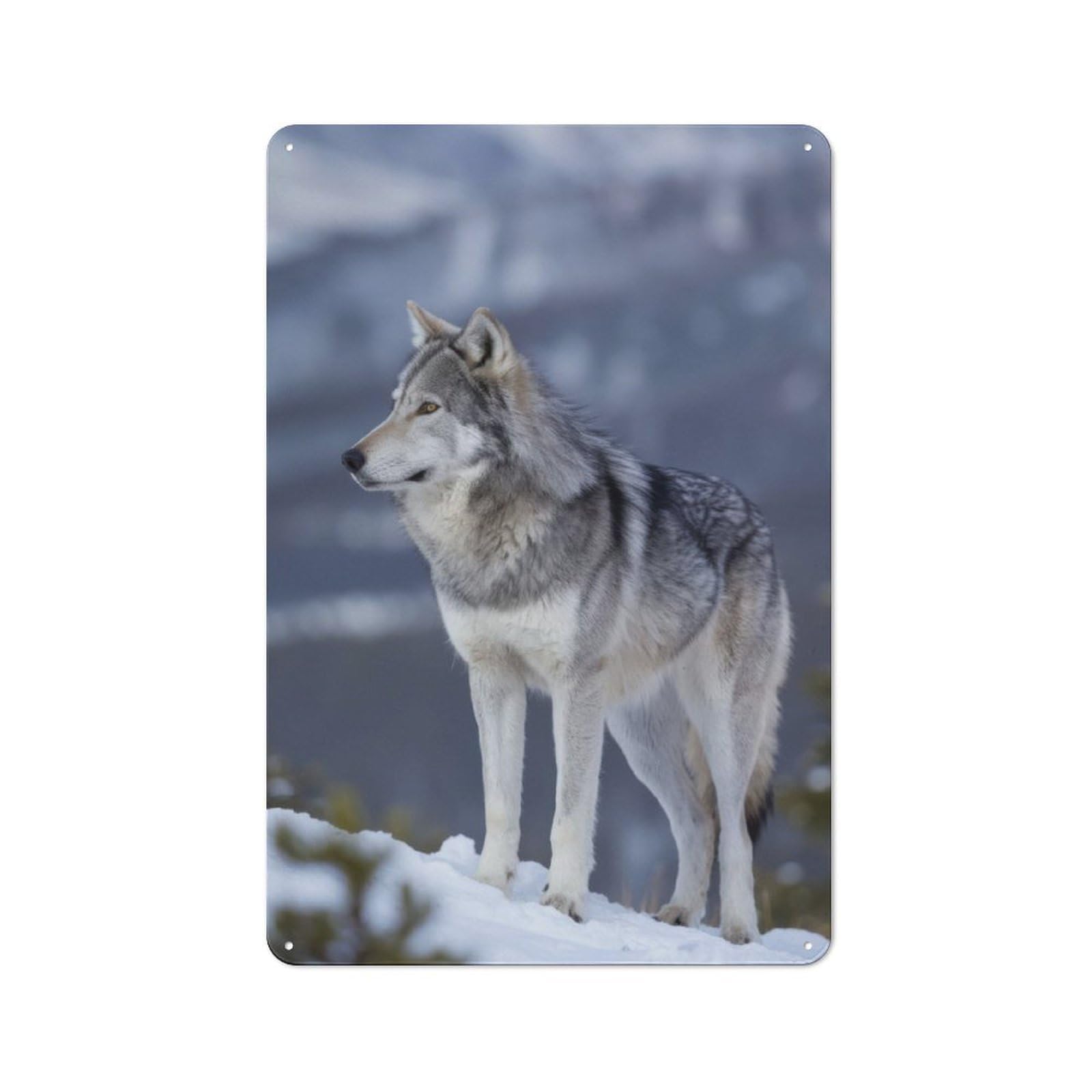 Vintage Tin Sign 30x20cm with Wolf in Snowy Landscape for Hobby Room Or Studio, for Metal Sign Collectors, for Garage And Workshop Walls