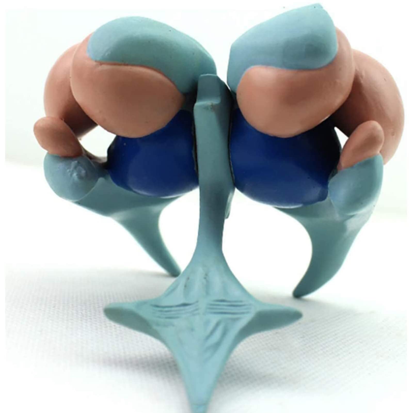 WlP Basalganglien-Modell des Gehirns Thalamus-Modell Nucleus Caudatus Amygdala Thalamus Linsenförmiger Nucleus Gehirnanatomiemodell Menschlicher Körper Basalkernmodell Menschliche
