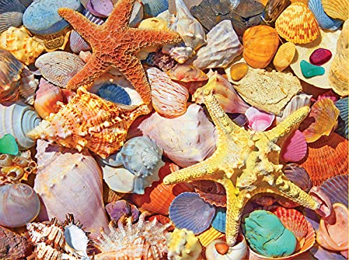 Rompecabezas White Mountain de 500 piezas: Collage veraniego del océano con conchas, piezas grandes, regalo para adultos y familia, 18" x 24" miniatura 2