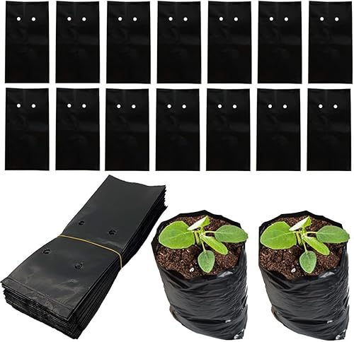 DredQcco Paquete de 100 bolsas de cultivo de plantas bolsa gruesa de polietileno para plántulas de árbol frutal bolsa de plantación de bonsái con