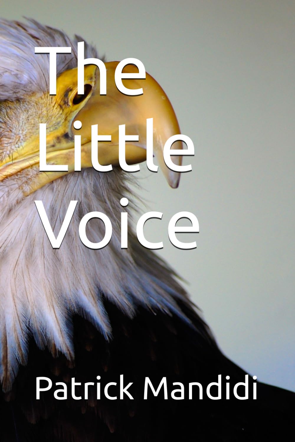 The Little Voice
