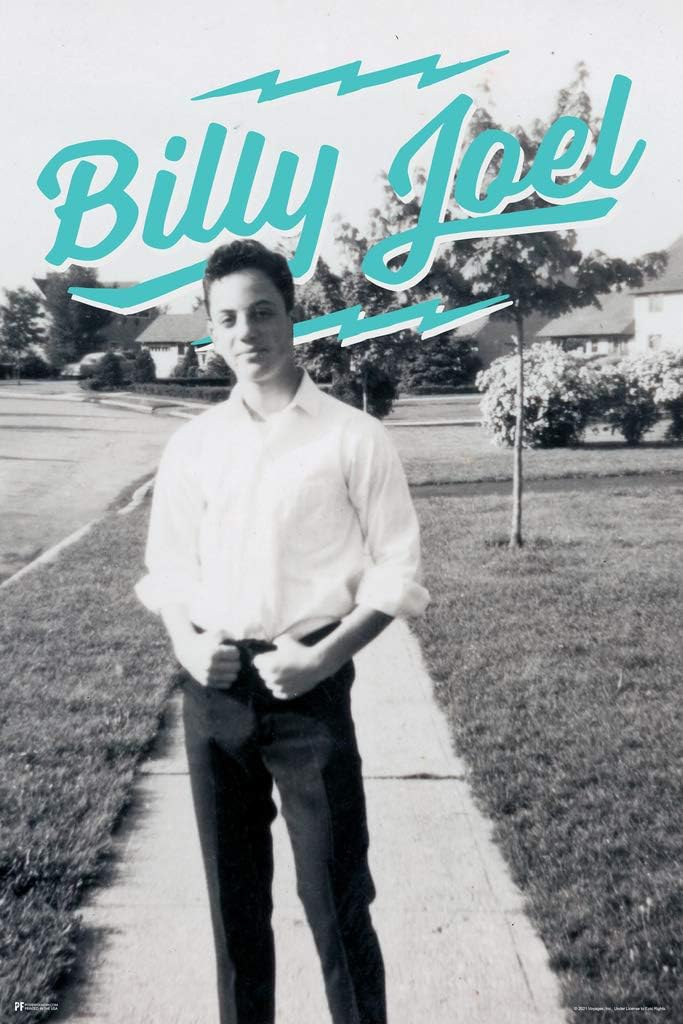 Billy Joel Poster The Stranger Album Cover Classic Rock Music Merch 16x24