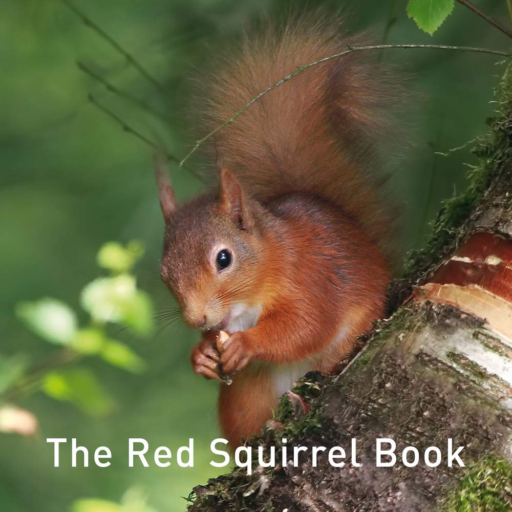 The Red Squirrel Book (Nature Book)