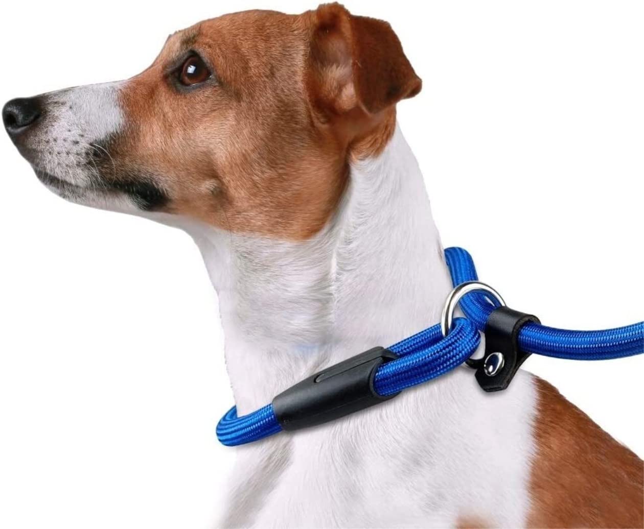 Smycze Dla Zwierząt Domowych Nylonowa Smycz Dla Psa Pet Puppy Walking Training Smycz Dla Psa Pasek Obroża Dla Psów Artykuły Dla Zwierząt Domowych Artykuły Dla Zwierząt(Blue,1.0 * 140cm)