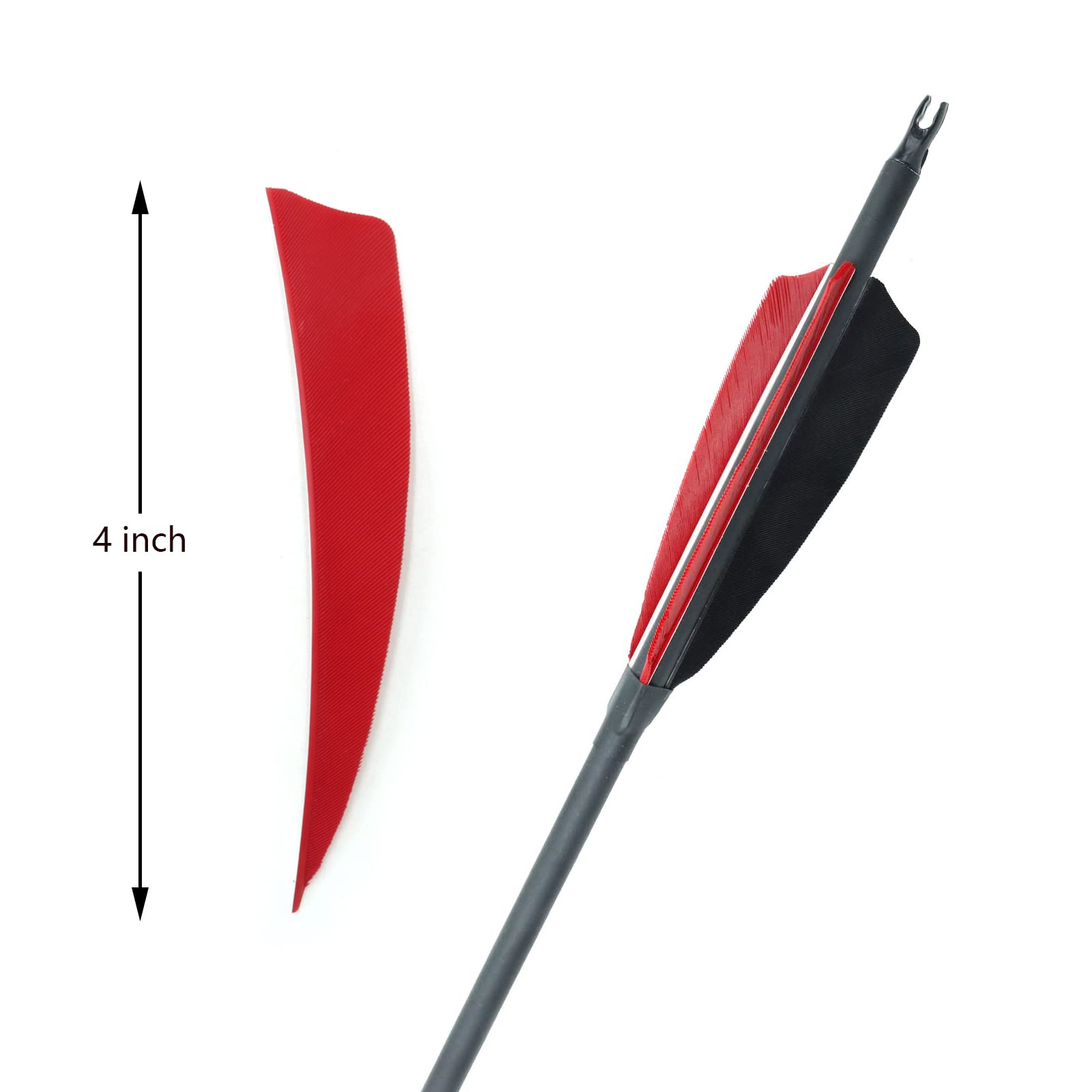 OBTOUTDOOR OUBOTER 60 Stück Bogenschießen Pfeilfedern 4 Zoll Naturfedern Befiederung Rechten Flügel DIY für Bogenpfeile (40 Rot + 20 Schwarz)