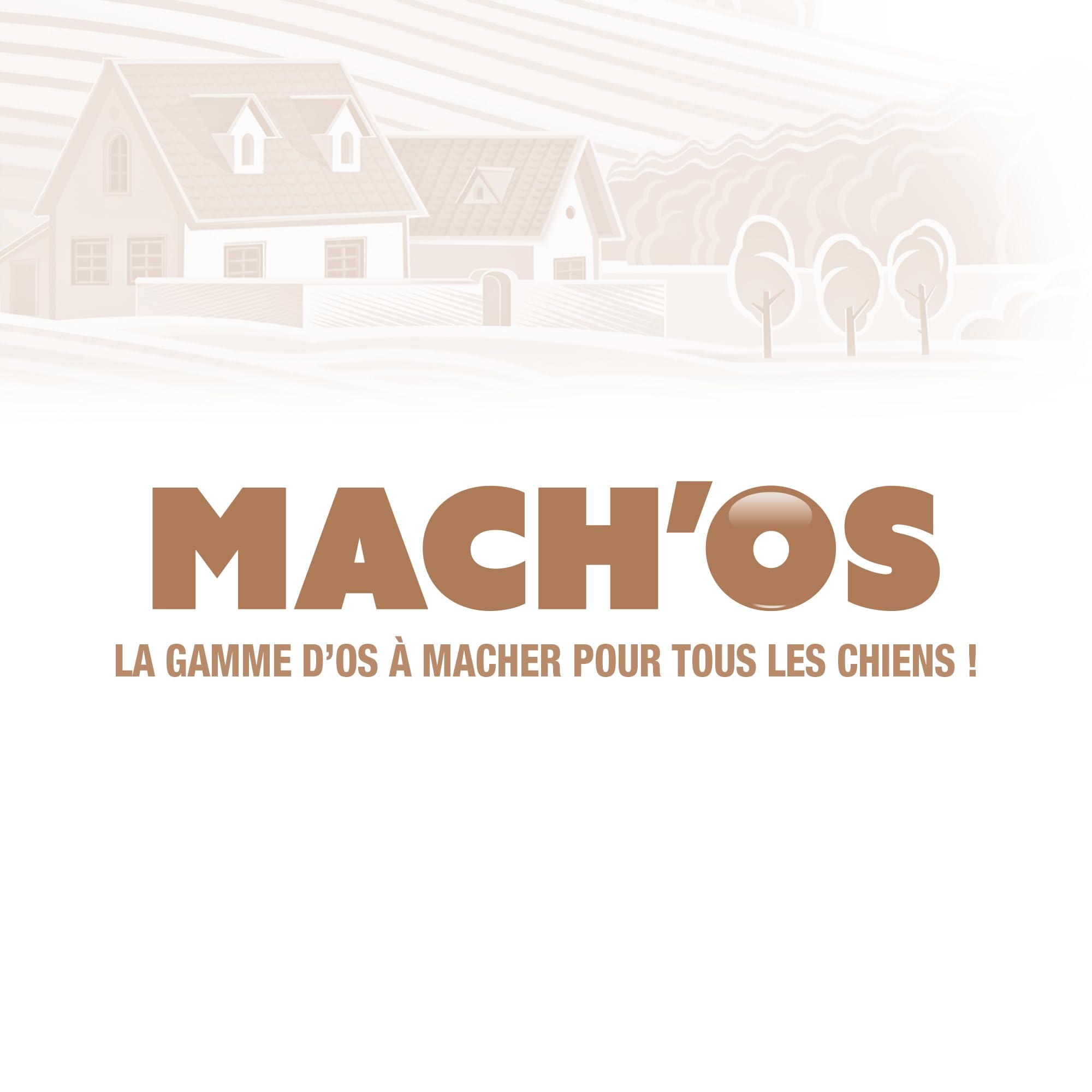 RIGA - Mach'os - Bon'os pour Chien S - Riche en Protéines Et Calcium - Hygiène Buccale - Mastication Et Récompense - pour Petit Chien - x 6