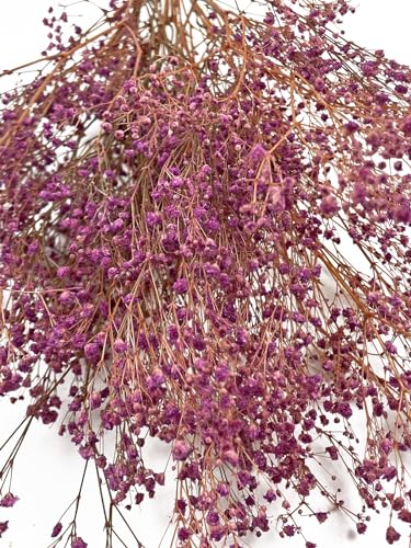 Mordederas Y Chupones, Toy Imagen adicional