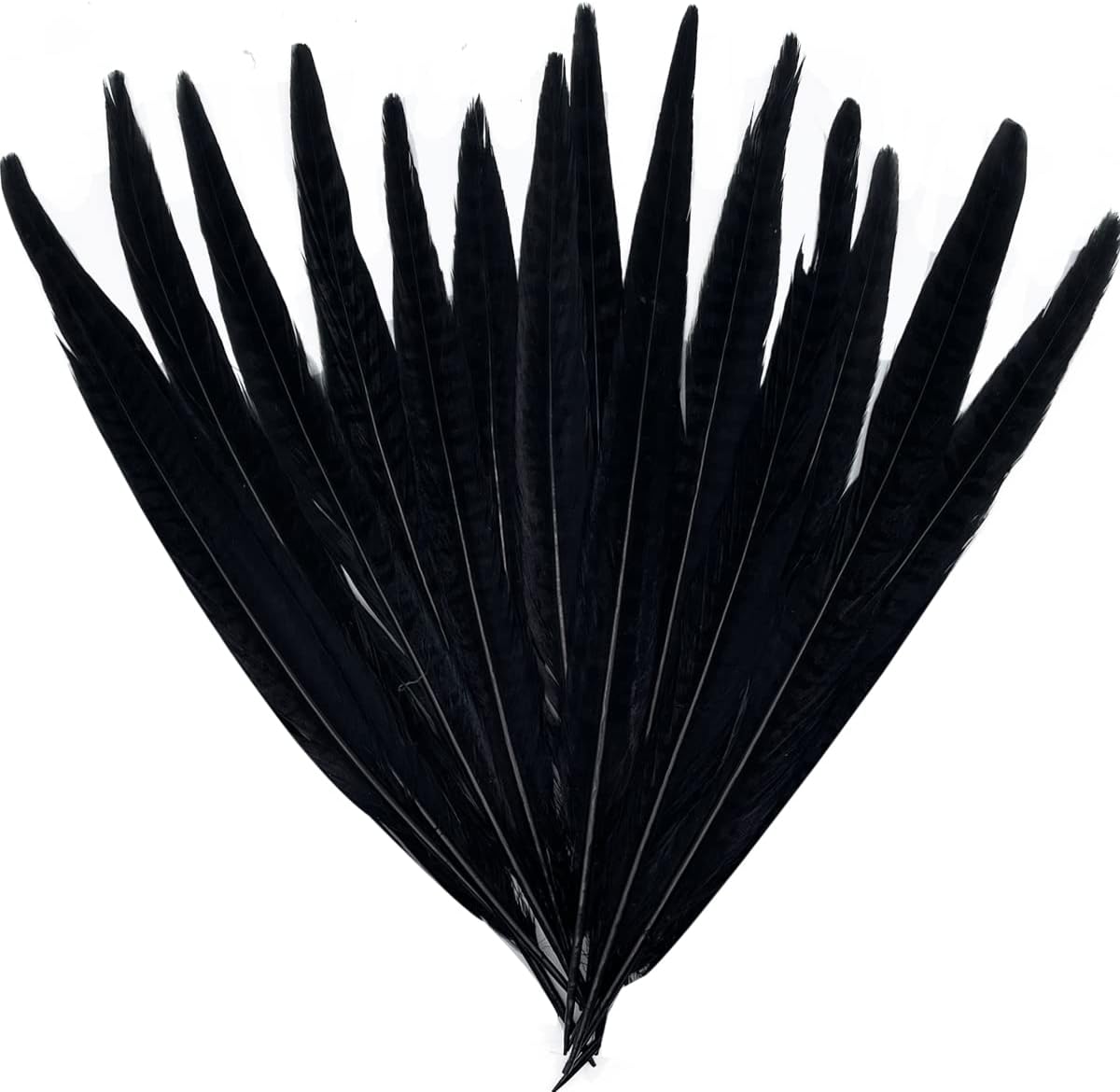20pcs Natural Pheasant Feathers for Crafts Pheasant Tails DIY Wedding Party Decorations Accessories 9.84-11.8inch CDY-SJW-25-30CM-20PCS