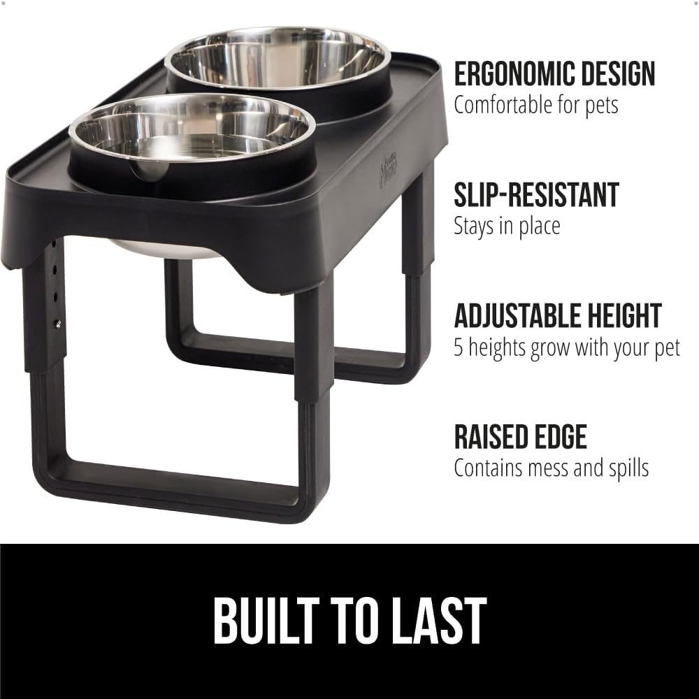 Elevate Your Pet