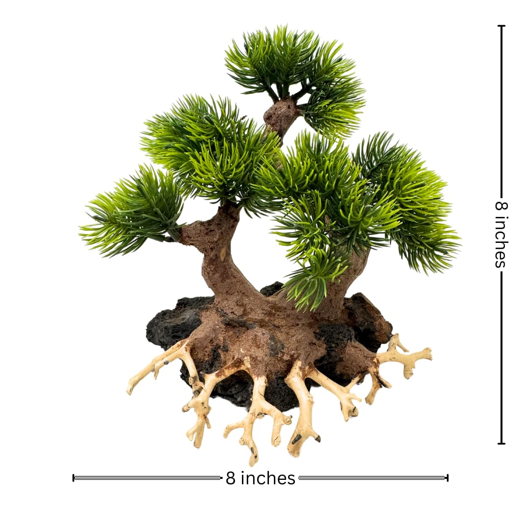 Bonsai Driftwood Aquarium Trees on Rock (8