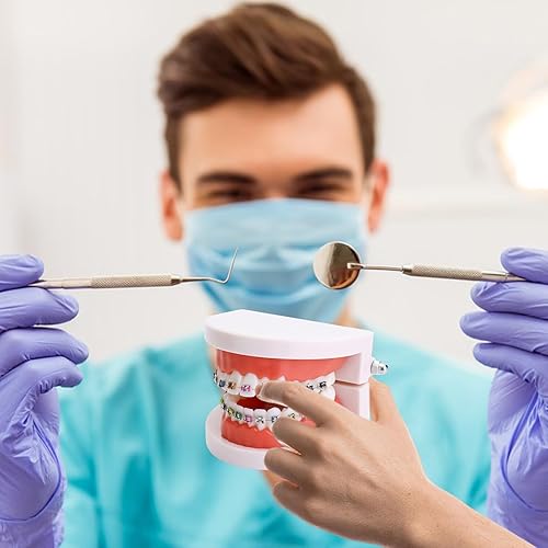 Miniatura 5 de Modelo de dientes de ortodoncia dental con aparatos ortopédicos coloridos, modelo profesional de boca de dentadura para demostración de estudio para