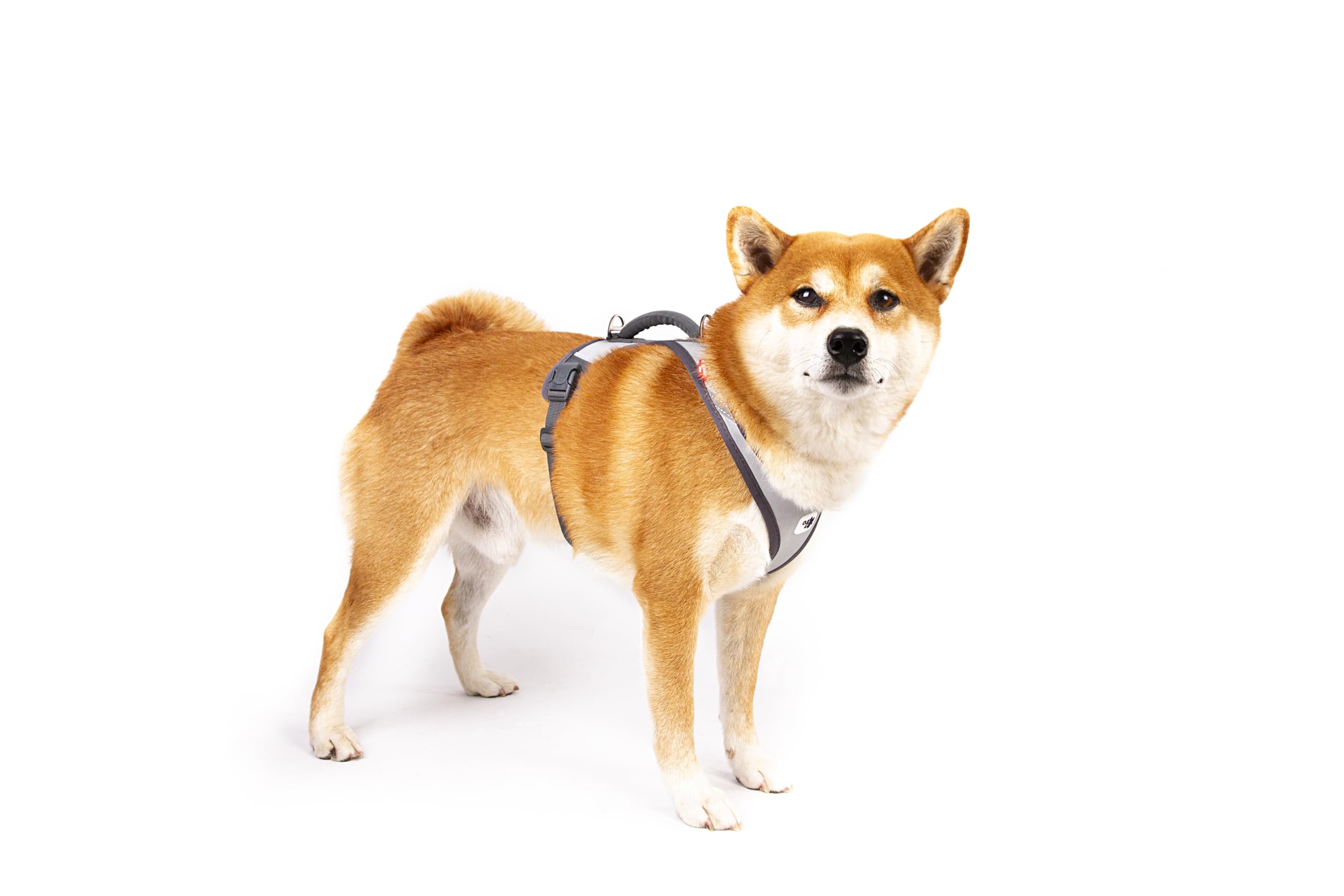 Glow Belka Harness Gray XL