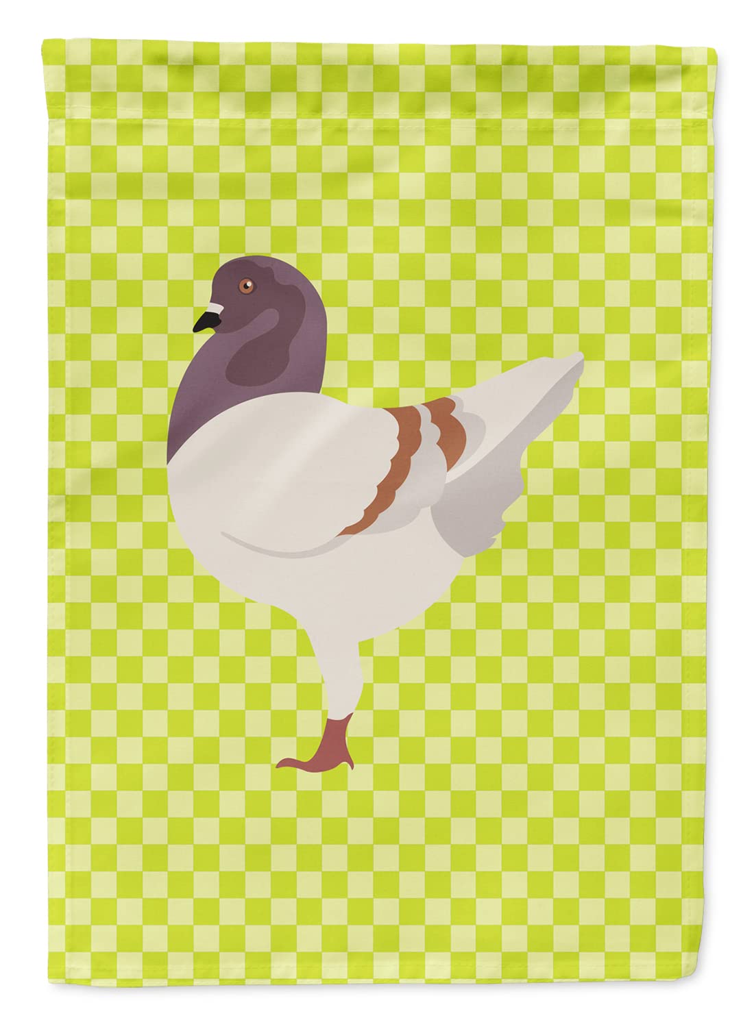 German Modena Pigeon Green Flag pour embellir votre potager fleuri