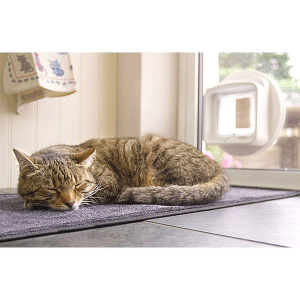 Gattaiola con Lettore Microchip DualScan SureFlap Sure Petcare, compat. Targhetta RFID e Microchip, azion. a Un Pulsante, Install. su Porte, finestre, pareti, Bianco, Rich. 4 batterie AA (Non incl)