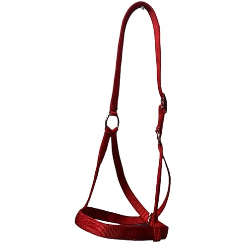 Miniatura 6 de Cattle Halter Newborn Calf Yearling Cow Bull (Calf, Lime Green)