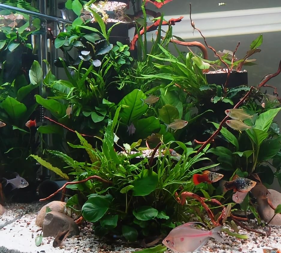 View 9